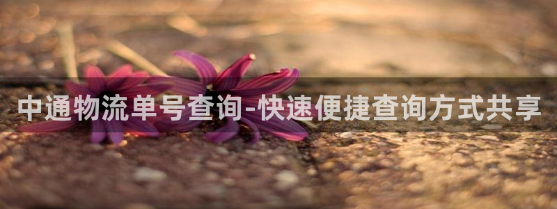 28圈注册网站APP：中通物流单号查