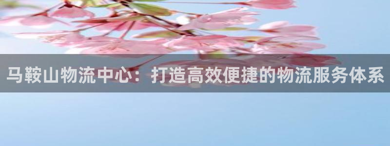 28圈注册网站APP：马鞍山物流中心