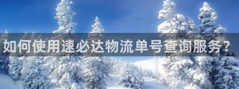 28圈注册官网：如何使用速必达物流单