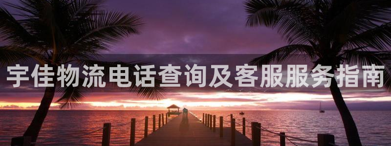 28圈模拟器：宇佳物流电话查询及客服