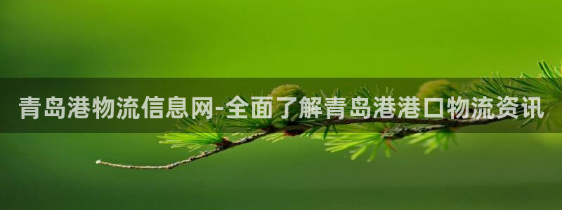 28圈麻将：青岛港物流信息网-全面了