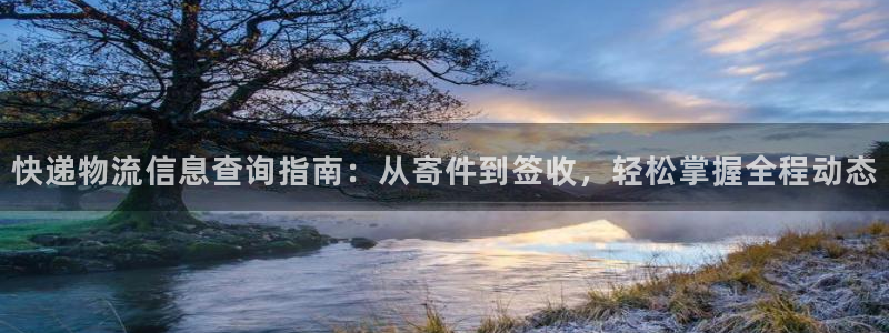 28圈昵称：快递物流信息查询指南：从