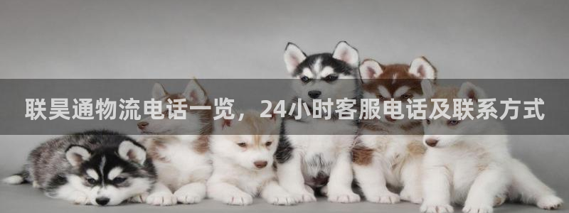 28圈推广链接是多少粉丝