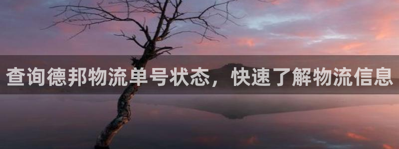 28圈退款：查询德邦物流单号状态，快