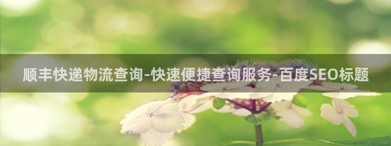 28圈注册流程：顺丰快递物流查询-快