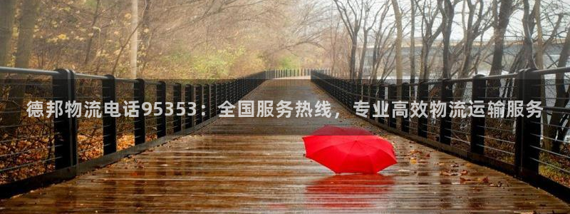 28圈口：德邦物流电话95353：全