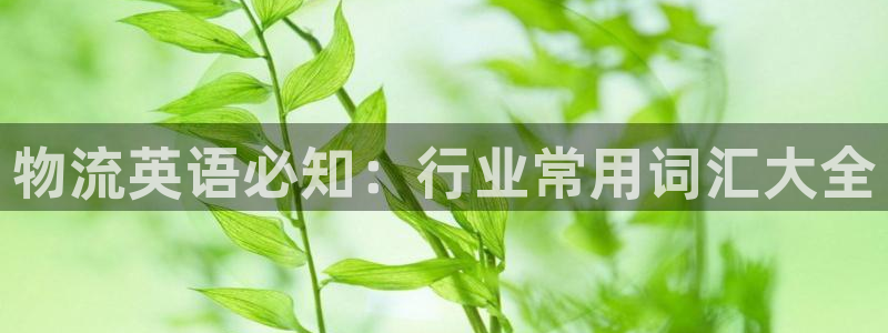 28圈游戏官网平台