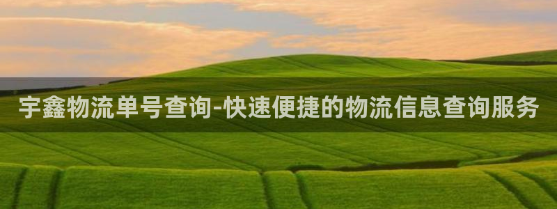 28圈官网下载链接是什么：宇鑫物流单