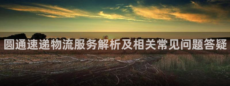 28圈注册网页：圆通速递物流服务解析
