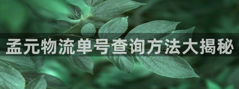 28圈官网下载链接是什么网站：孟元物