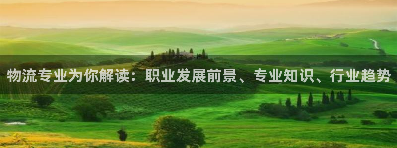 28圈h5链接