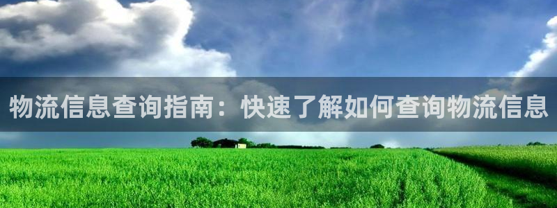 28圈注册号：物流信息查询指南：快速