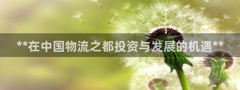 28圈是啥：**在中国物流之都投资与