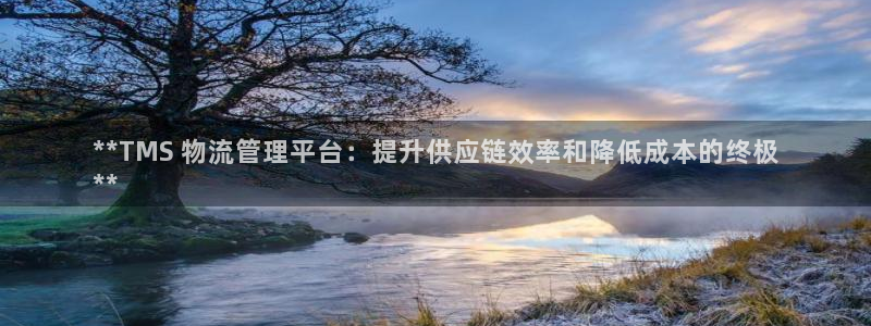 28圈连输10天：**TMS 物流管