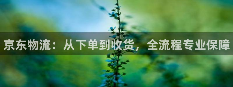 28圈机器人是什么软件