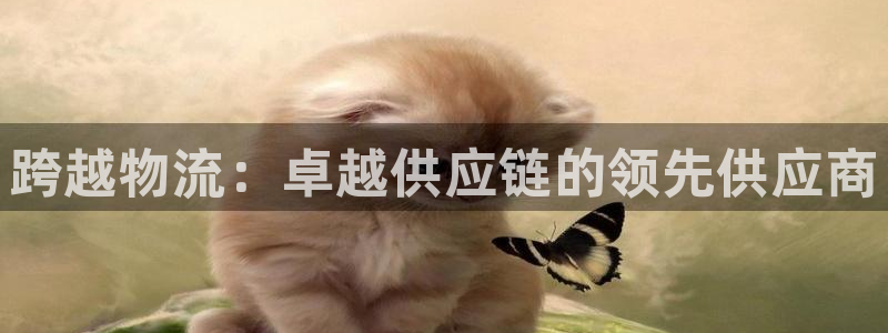 28圈分分压单双技巧：跨越物流：卓越