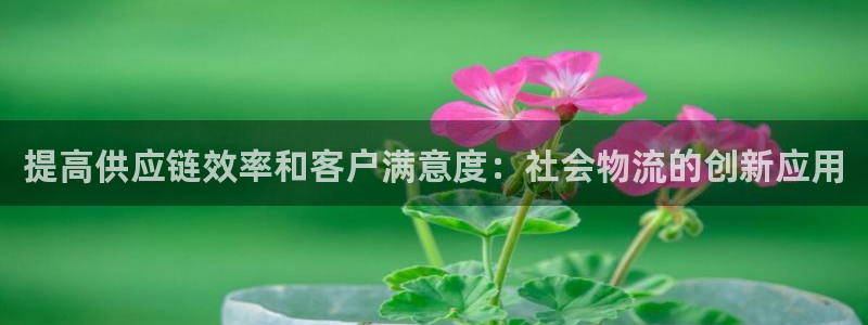 28圈注册登录流程：提高供应链效率和