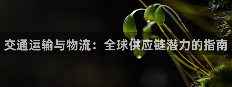 28圈在线预测官网：交通运输与物流：