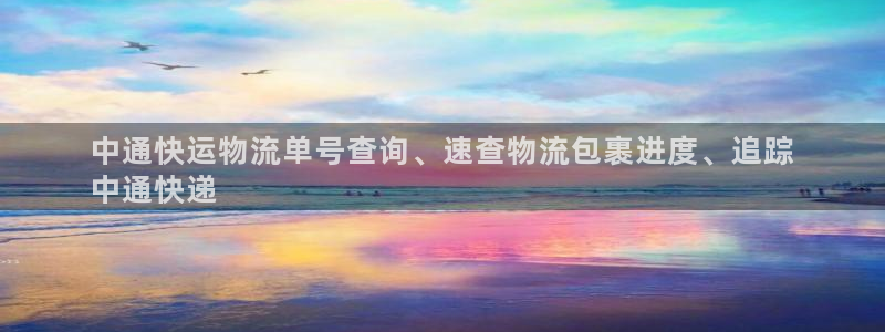 28圈注册网站谁有：中通快运物流单号