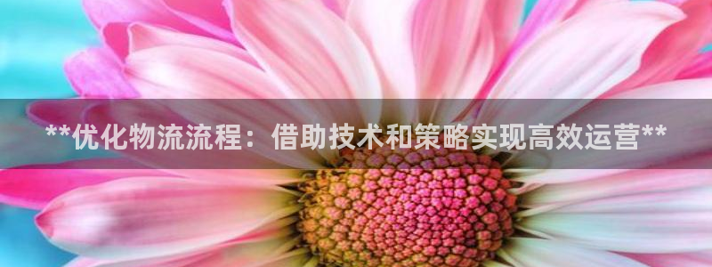 28圈开奖预测：**优化物流流程：借