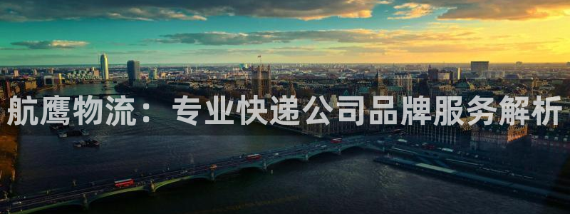 28圈麻将：航鹰物流：专业快递公司品