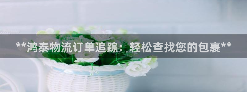 28圈h5链接：**鸿泰物流订单追踪