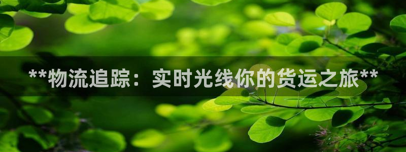 28圈防失联网址：**物流追踪：实时