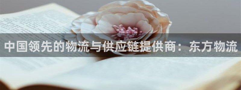 28圈能不能退：中国领先的物流与供应