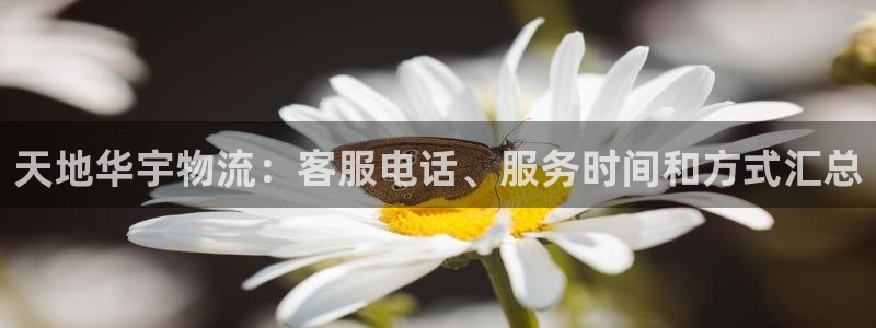 28圈流水怎么算