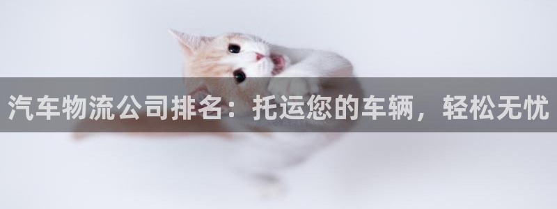 28圈反水什么时候到：汽车物流公司排