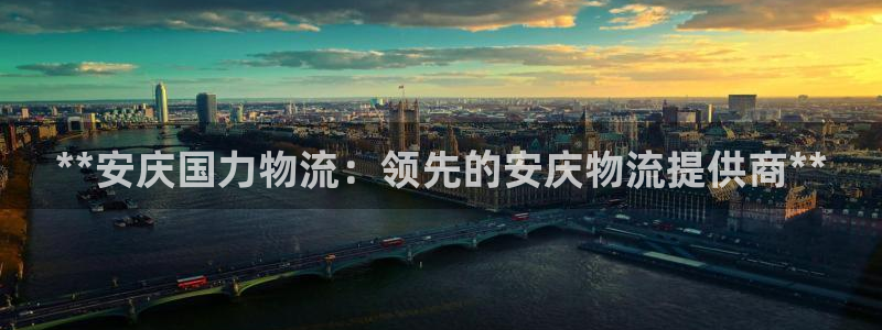 28圈正规吗：**安庆国力物流：领先