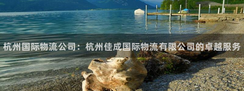 28圈违法吗：杭州国际物流公司：杭州
