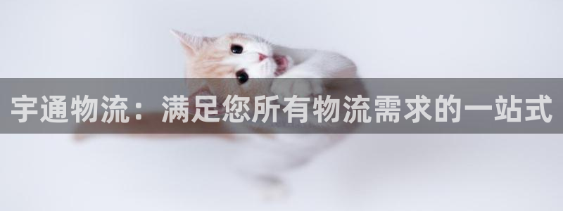 28圈官方平台