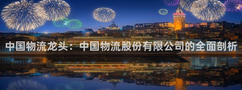28圈登录不上咋回事：中国物流龙头：
