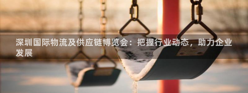 28圈充值金额随便