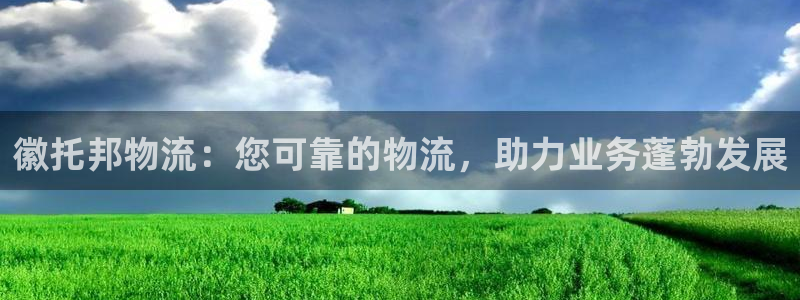 28圈注册问一问：徽托邦物流：您可靠