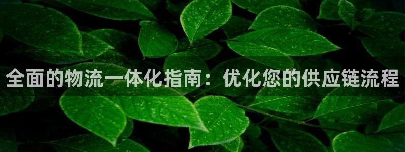 28圈ccm游戏：全面的物流一体化指