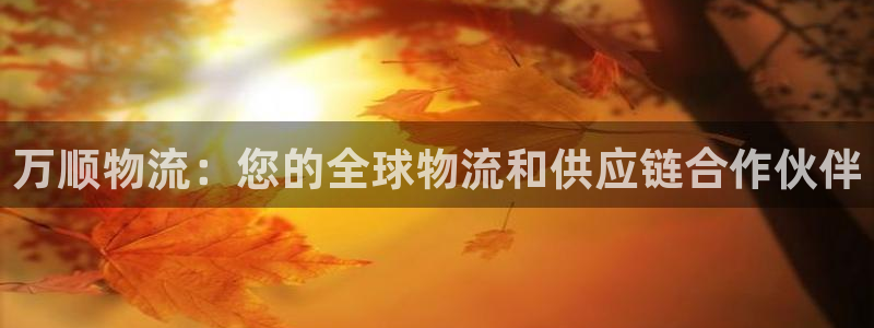 28圈大神预测：万顺物流：您的全球物