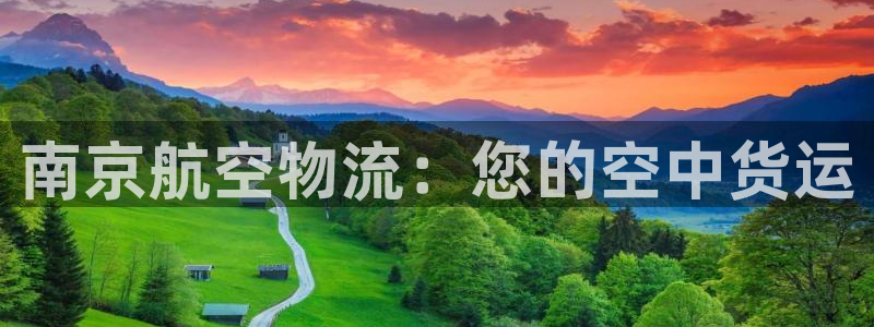 28圈下载体育：南京航空物流：您的空