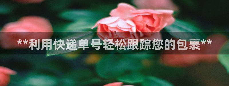 28圈南宫娱乐官网