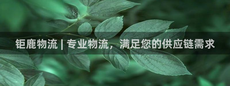 28圈注册链接：钜鹿物流 | 专业物