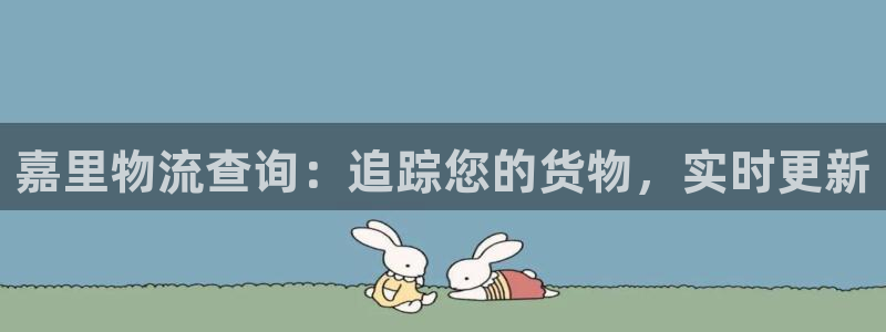28圈下载不了