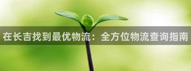 28圈注册号：在长吉找到最优物流：全
