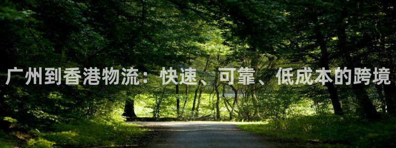 28圈黑款