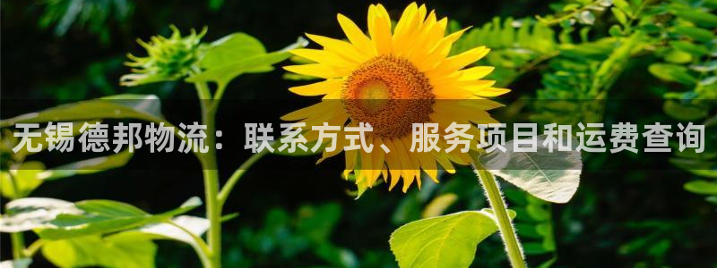 28圈的自行车
