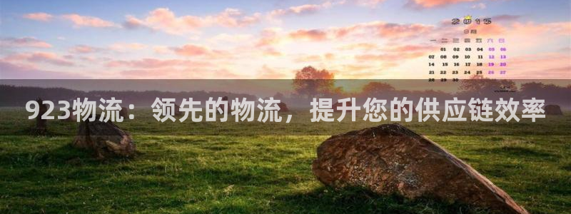 28圈加拿大最新版：923物流：领先