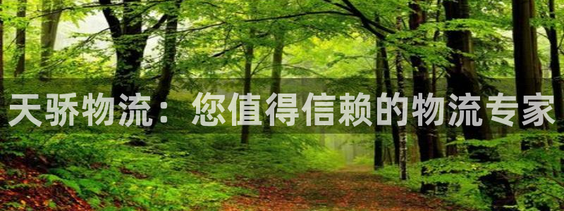 28圈代理落网