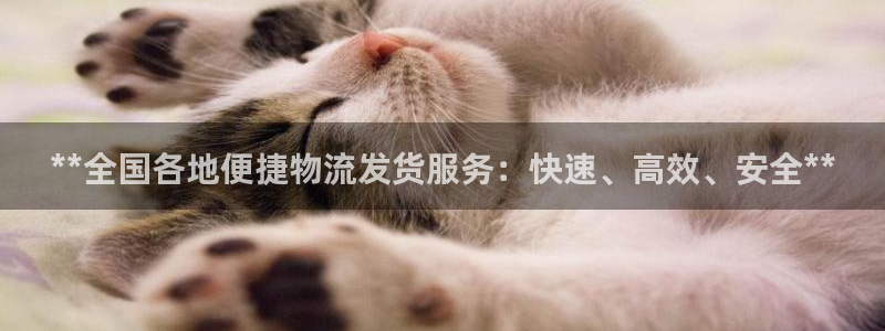 28圈充值