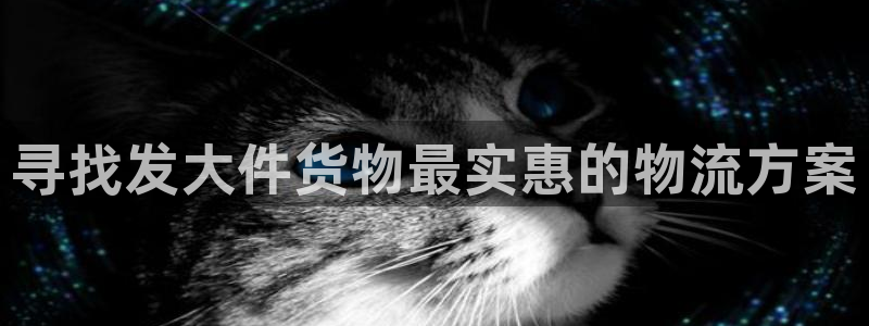 28圈加拿大app预测