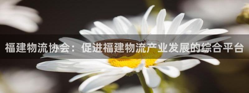 28圈注册过了警察知道吗：福建物流协